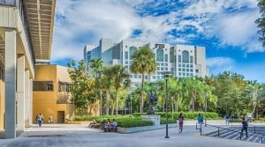 Florida International University