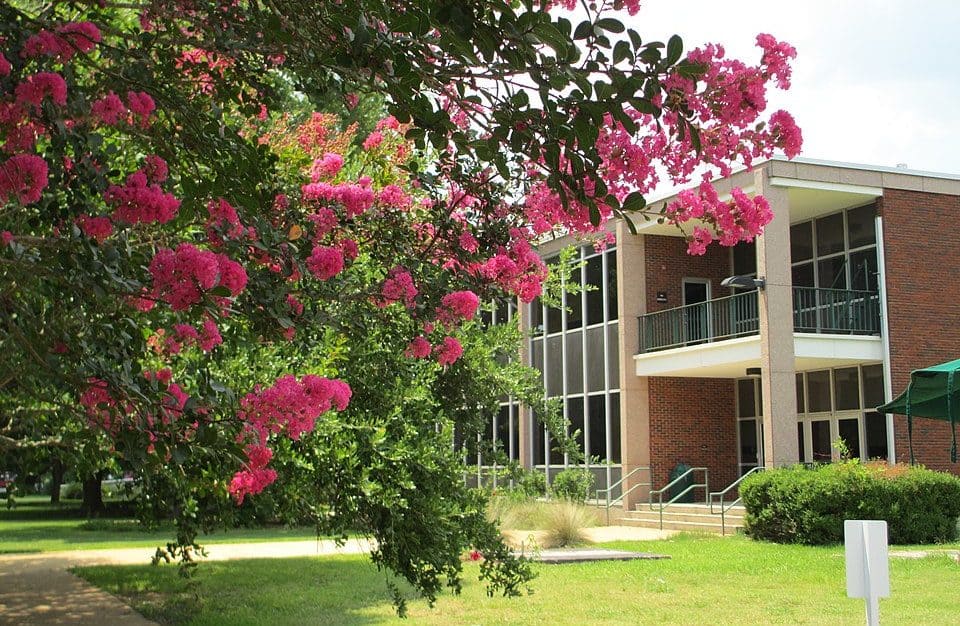 21 Best Colleges and Universities in Louisiana for [2020 List & Rankings]