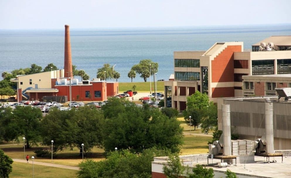 21 Best Colleges and Universities in Louisiana for [2020 List & Rankings]